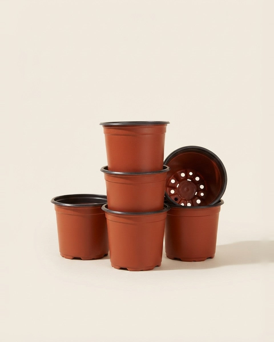 Lightweight Plastic Pot 14.5 cm 15 Pieces اصيص بلاستيك خفيف 14.5 سم