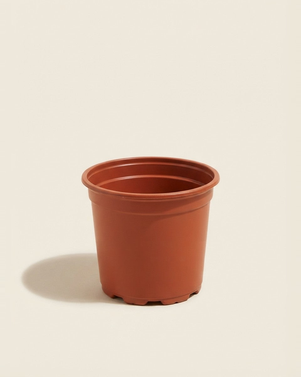Lightweight Plastic Pot 20.5 cm 5 Pieces اصيص بلاستيك خفيف 20.5 سم