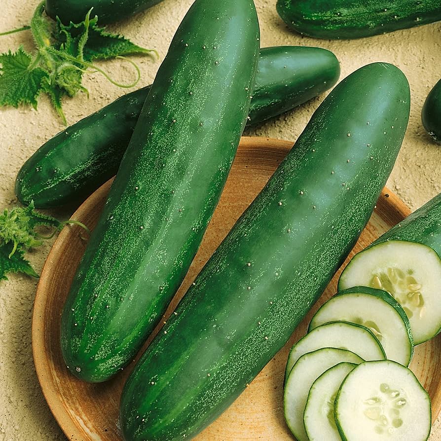 Cucumber County Fair F1 - supplier photo