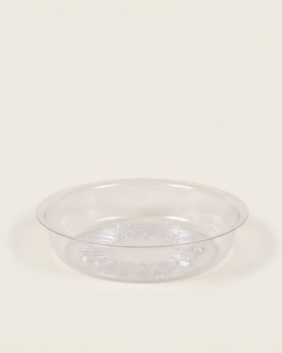 Saucer 6" حوض نباتات
