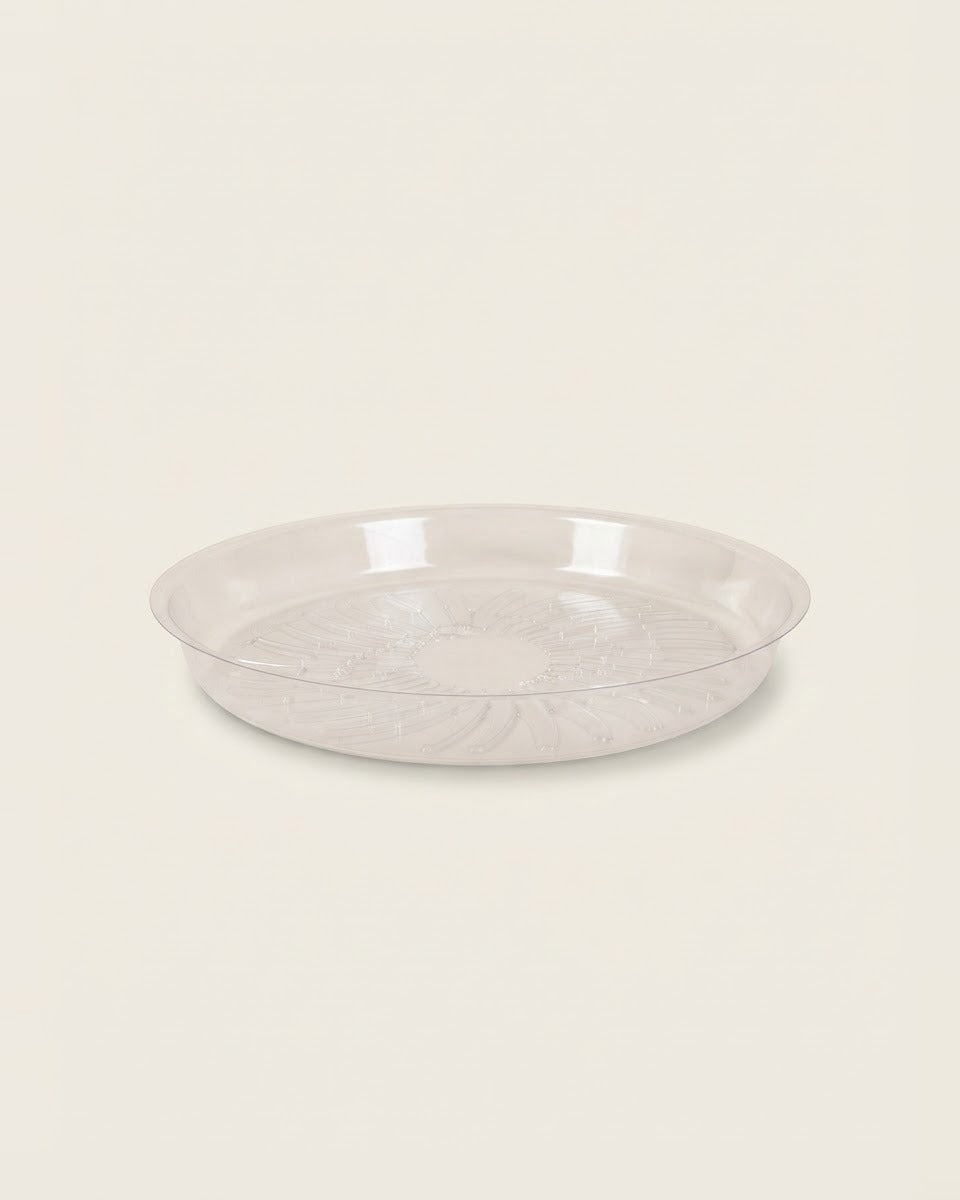 Saucer 10" حوض نباتات
