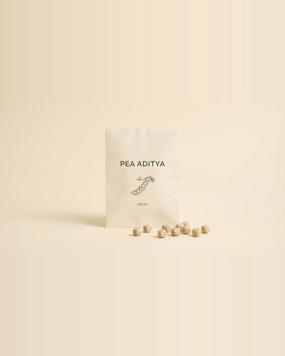 Pea Aditya Seeds 50 Seeds بزاليا اديتيا
