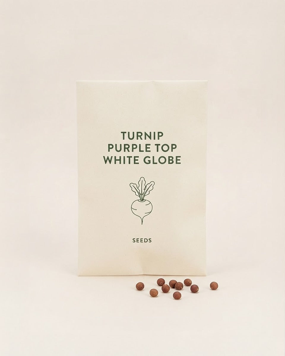 Turnip Purple Top White Globe