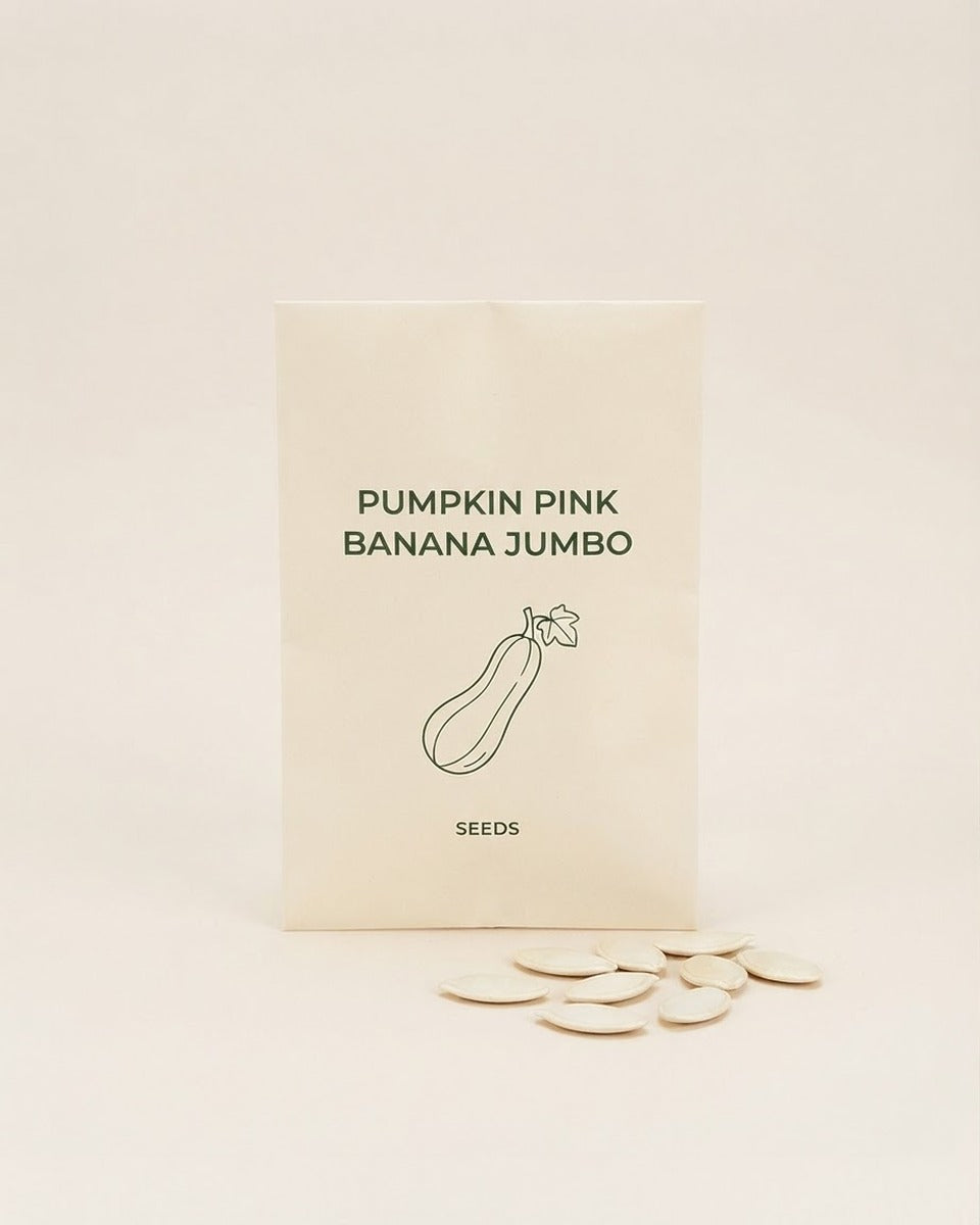Pumpkin Pink Banana Jumbo