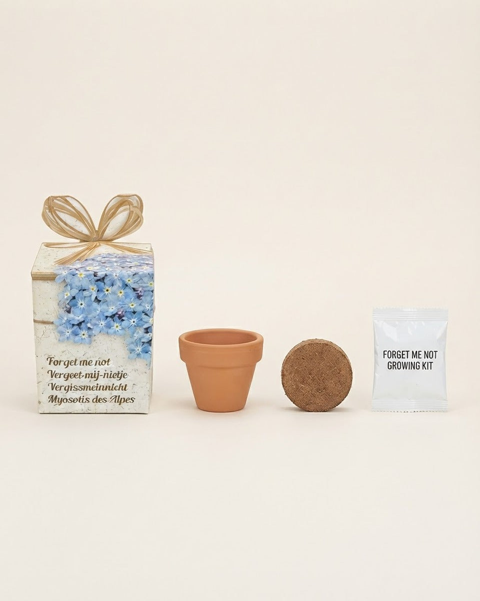Forget Me Not Growing Seeds Kit