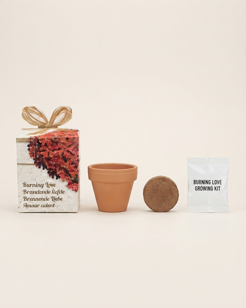 Burning Love Growing Seeds Kit