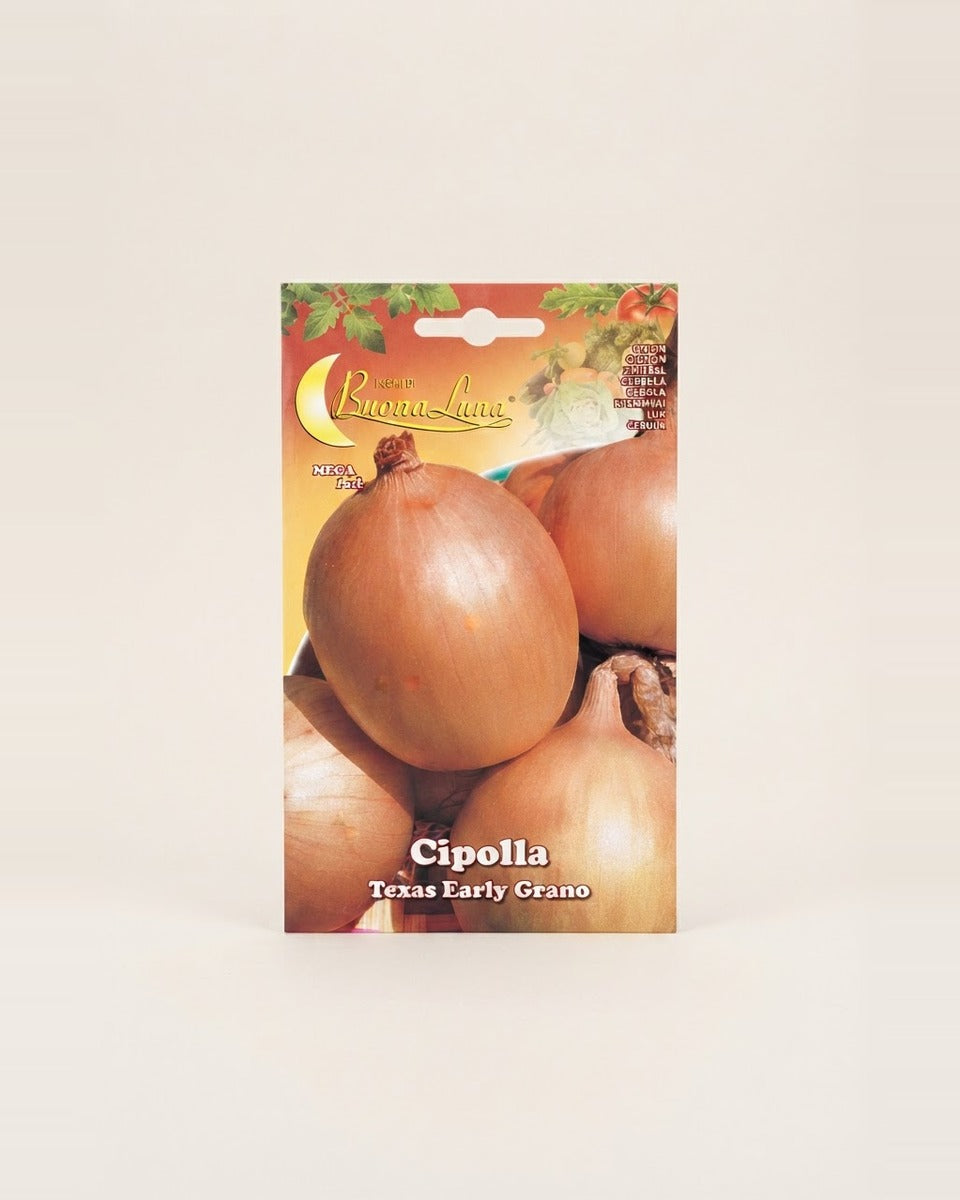 Onion 'Texas Early Grano'