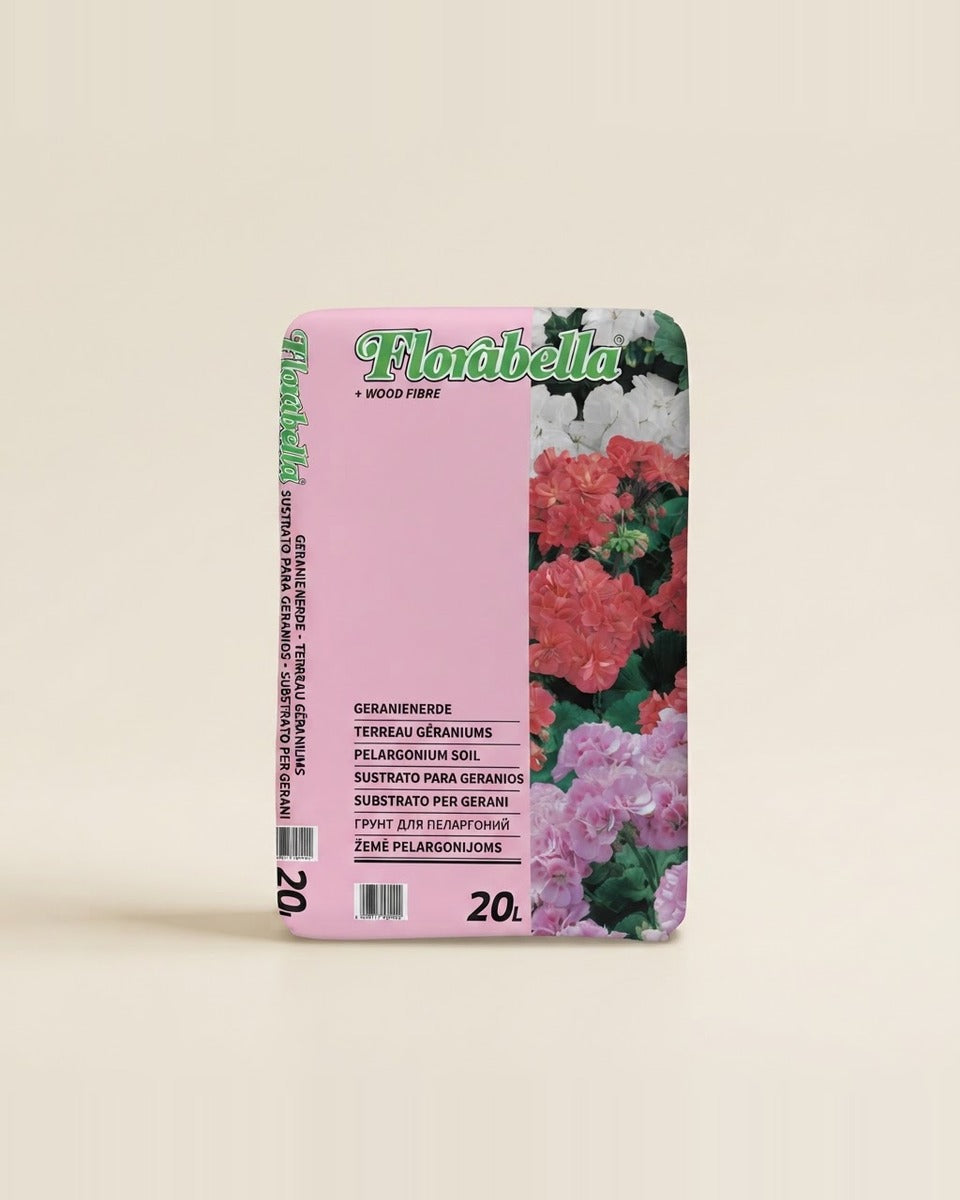 Geranium Growing Soil تربة زراعة الجيرانيوم
