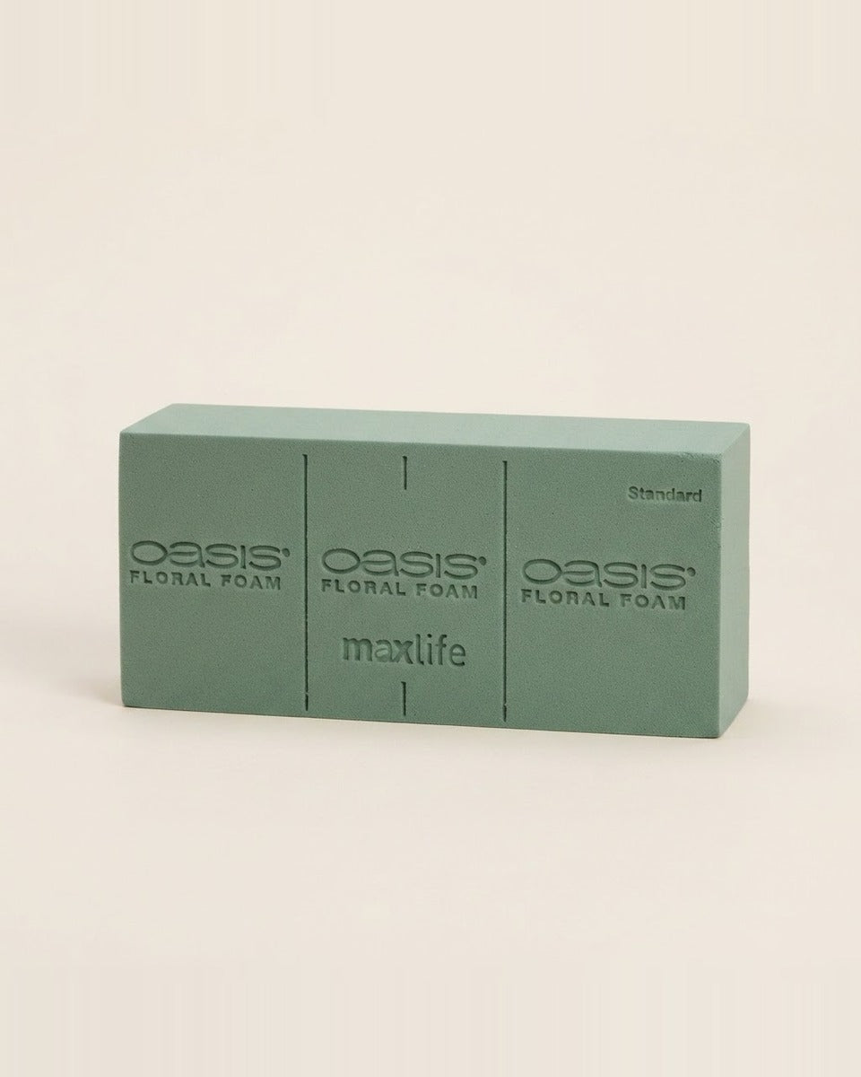 Oasis Brick Sponge