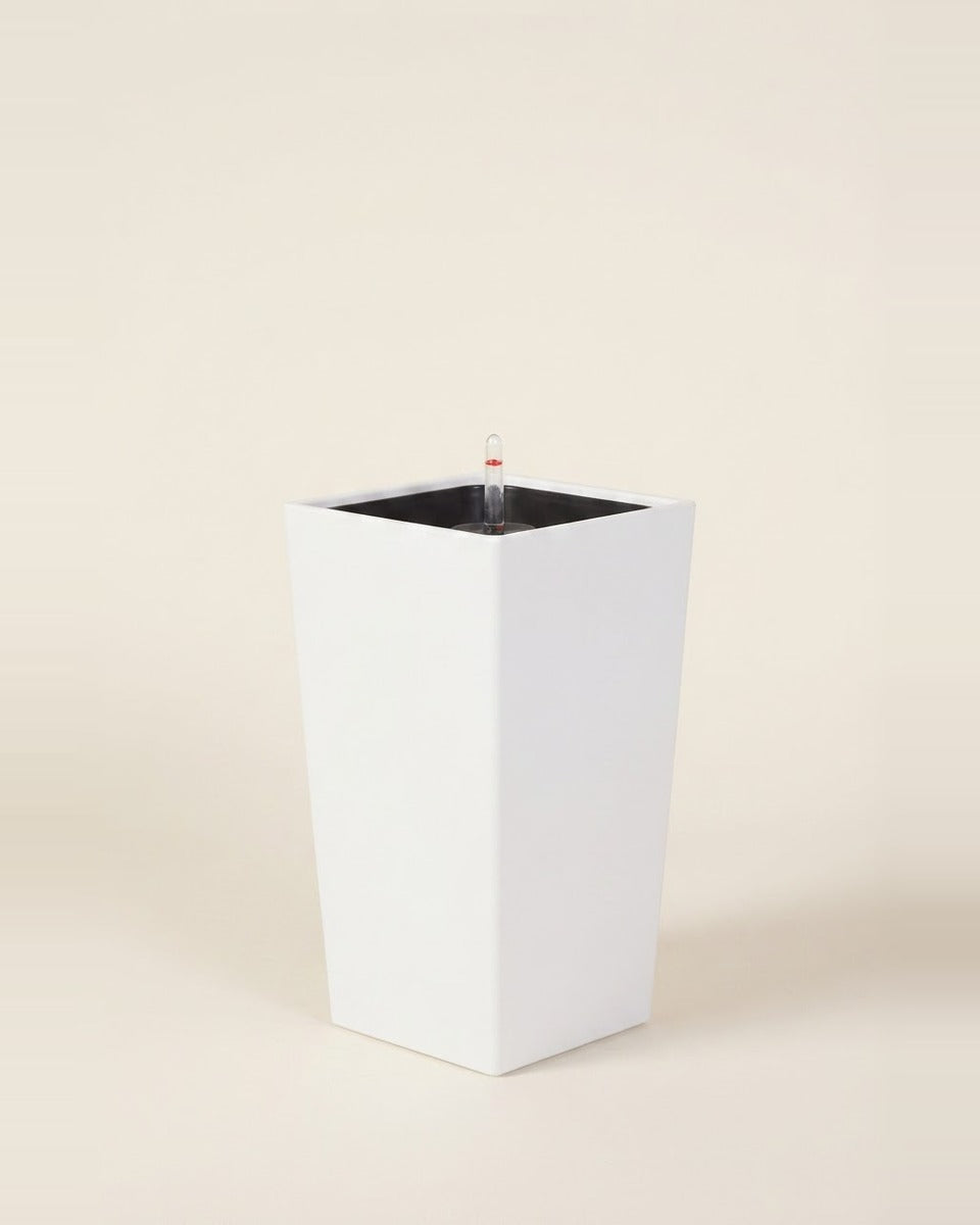 Leizisure Cubico White 29*54