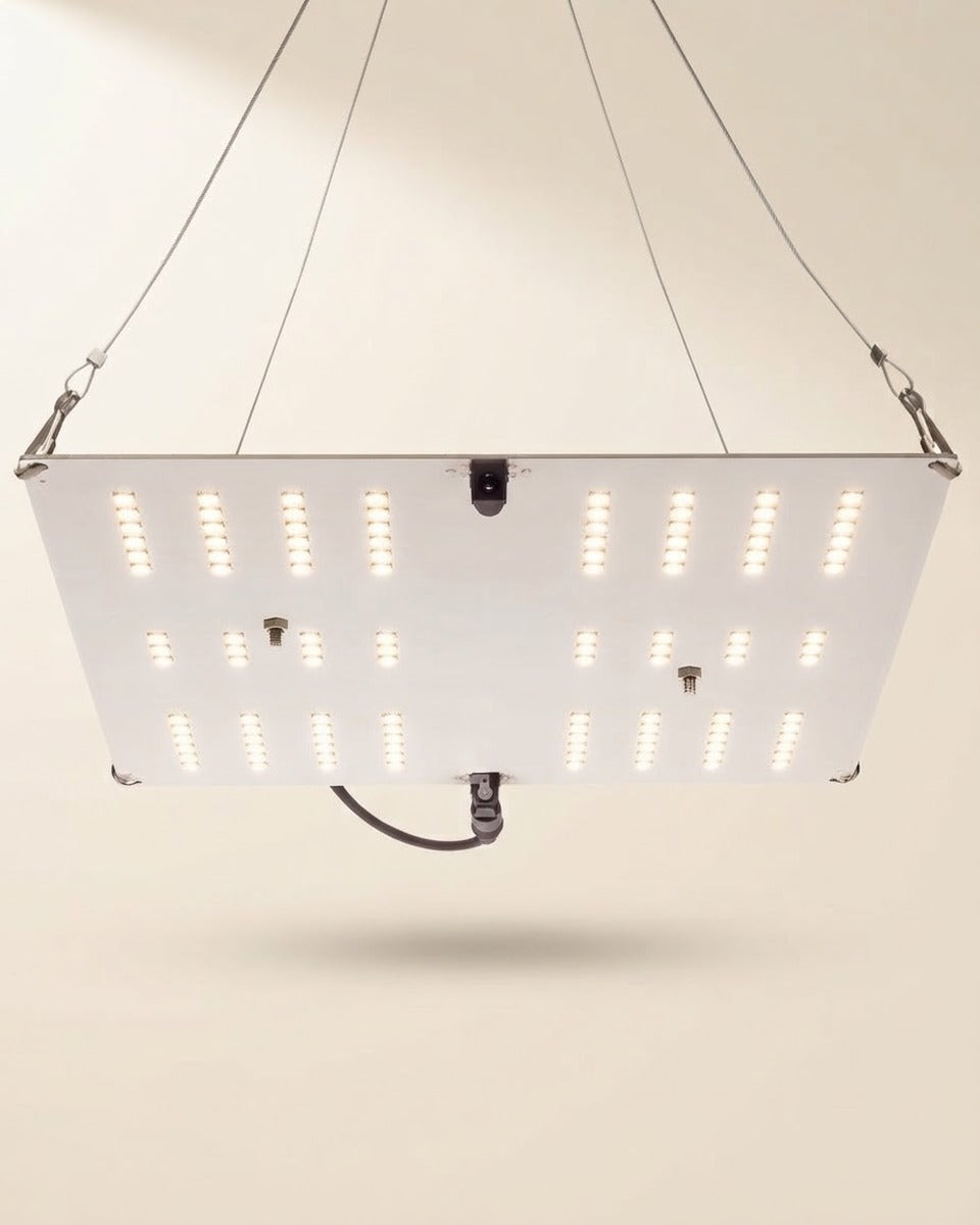 HLG 100 V2 LED Grow Light