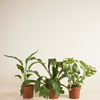 Air Purifying Set M