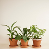 Air Purifying Set M