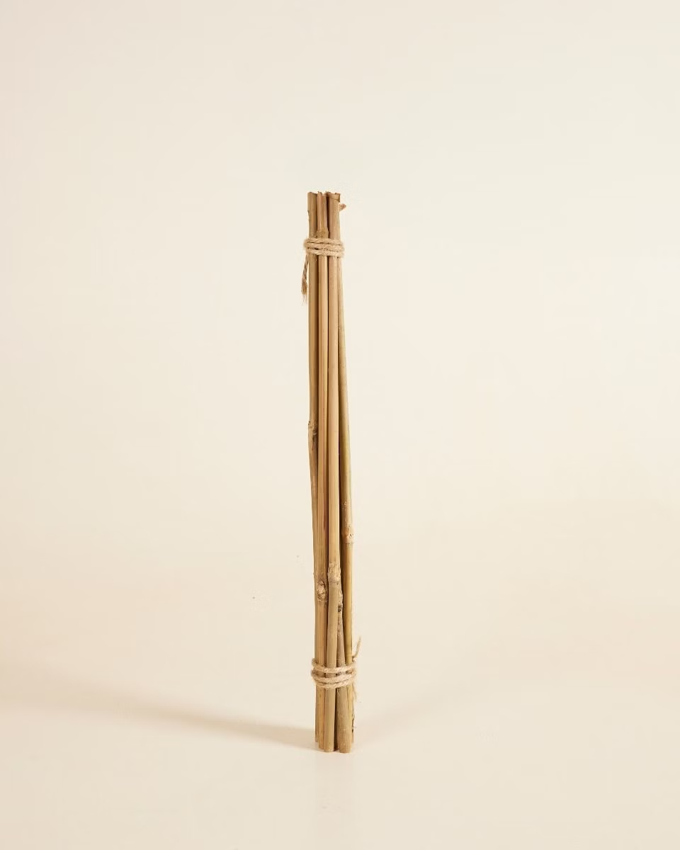 Bamboo Stick 40 cm