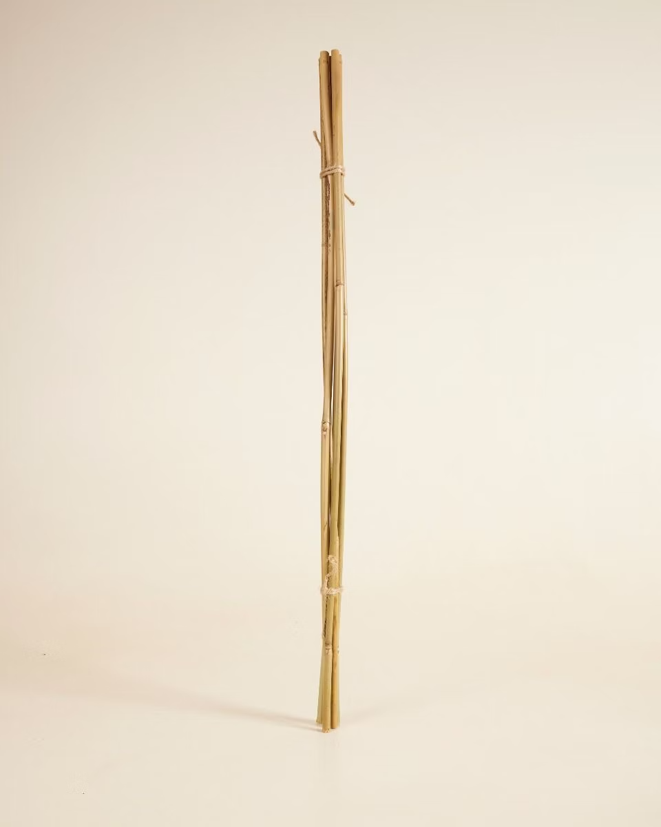 Bamboo Stick 70 cm