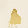 Bella Butterfly