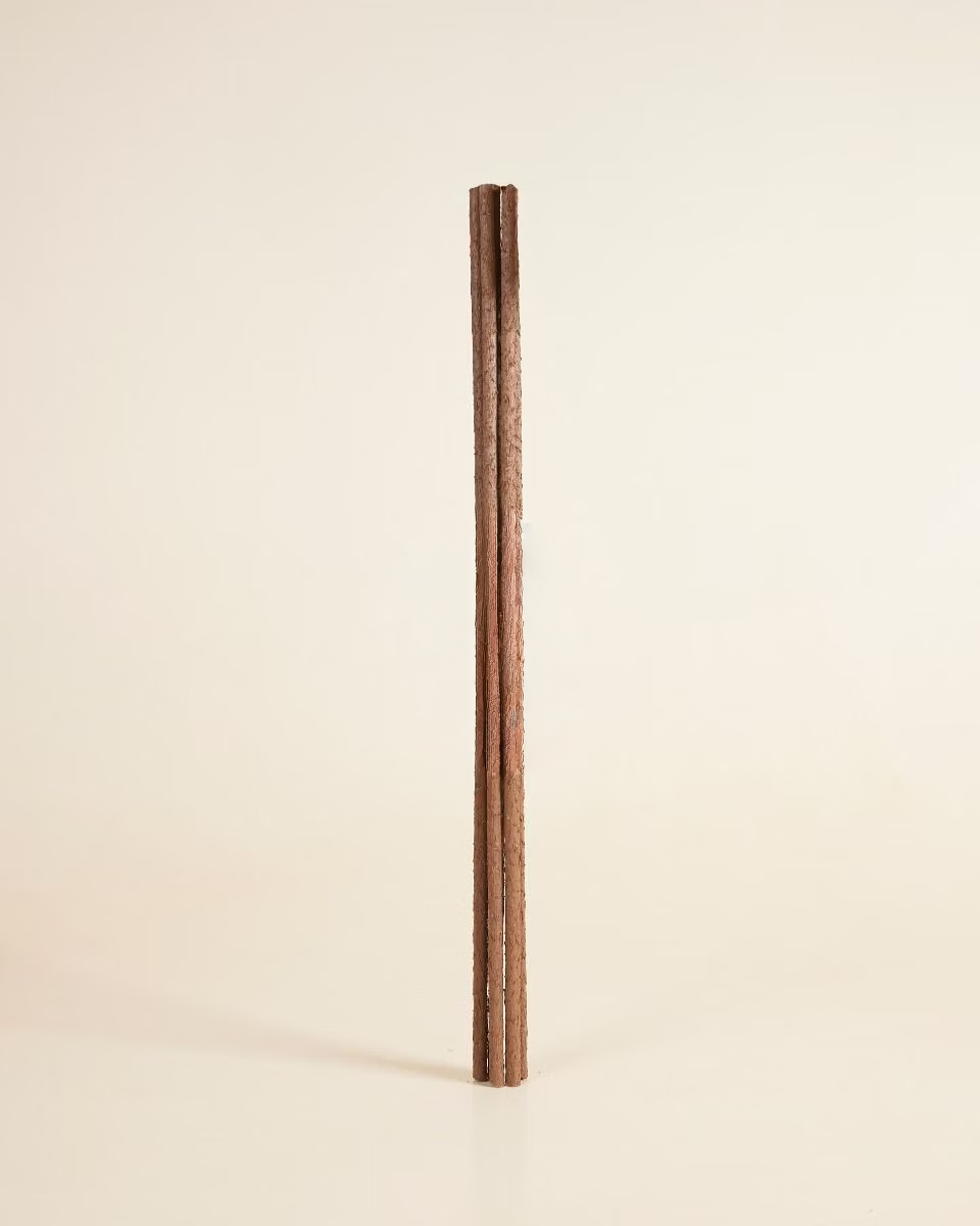 أعواد دعم النباتات القابلة للتحلل الحيوي