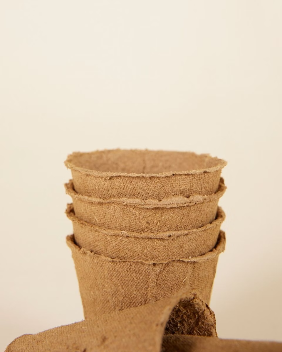 Biodegradable Seedling Pots (20 Pcs)