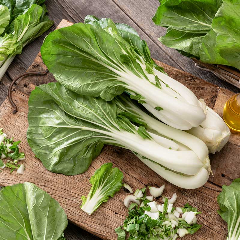 Cabbage Pak Choi White Stem - supplier photo