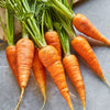 Carrot Danvers - supplier photo