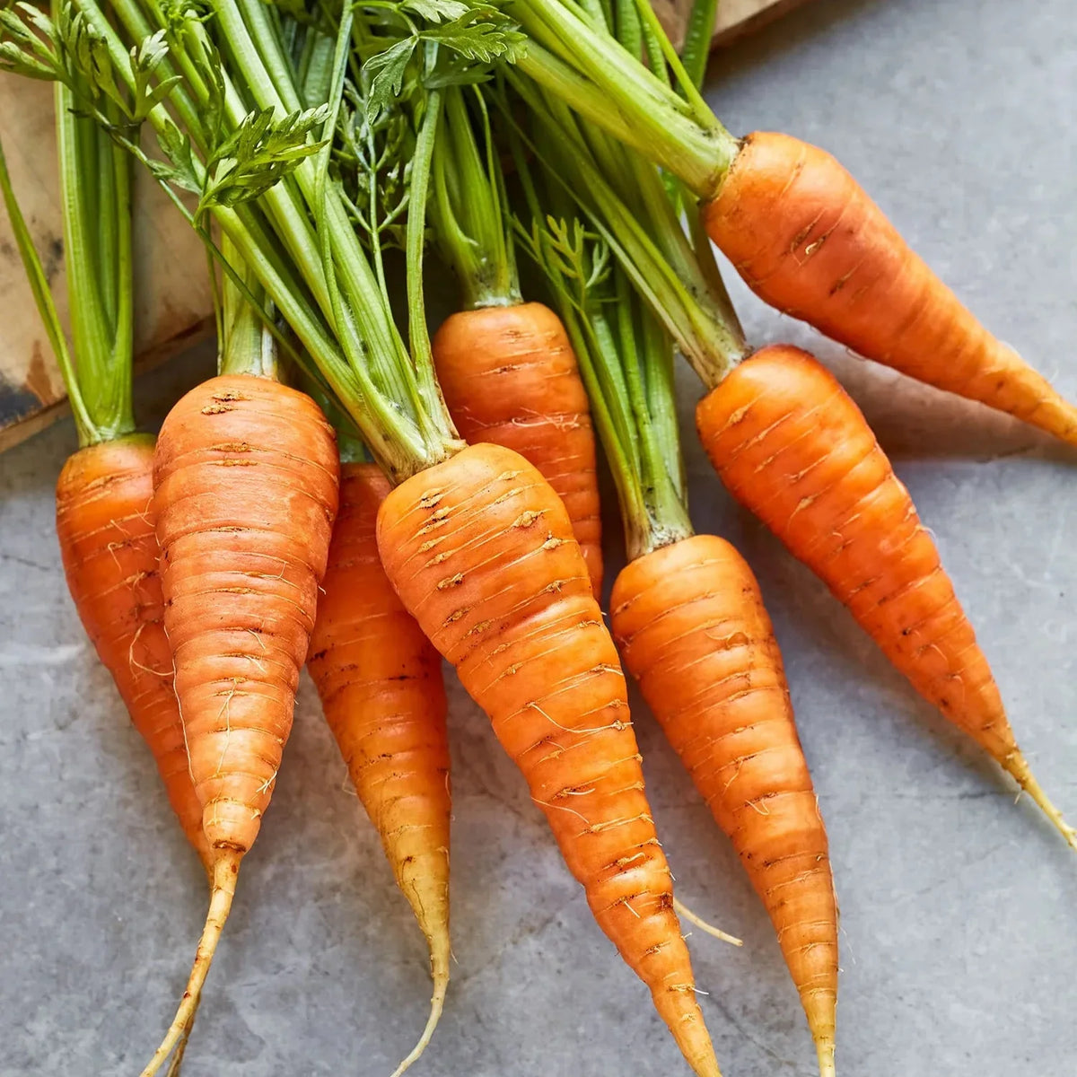 Carrot Danvers - supplier photo