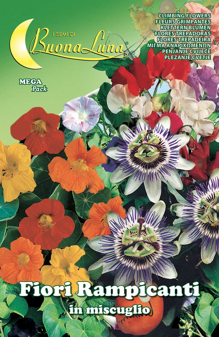 Climbing Flower Mix Seeds - supplier photo