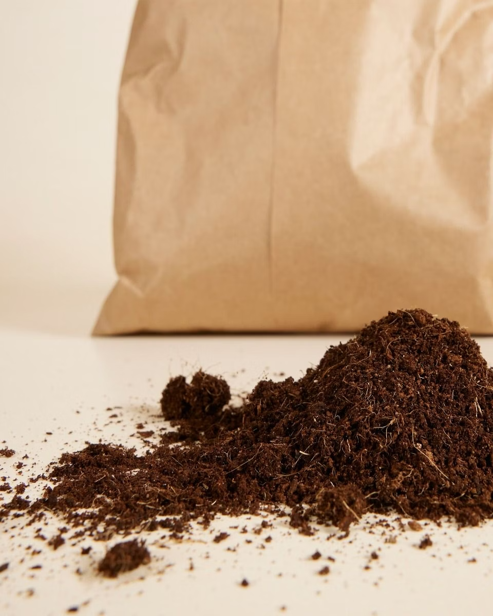 Cocopeat - NABAT تربة كوكوبيت