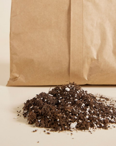 Cutting Soil تربة تجذير