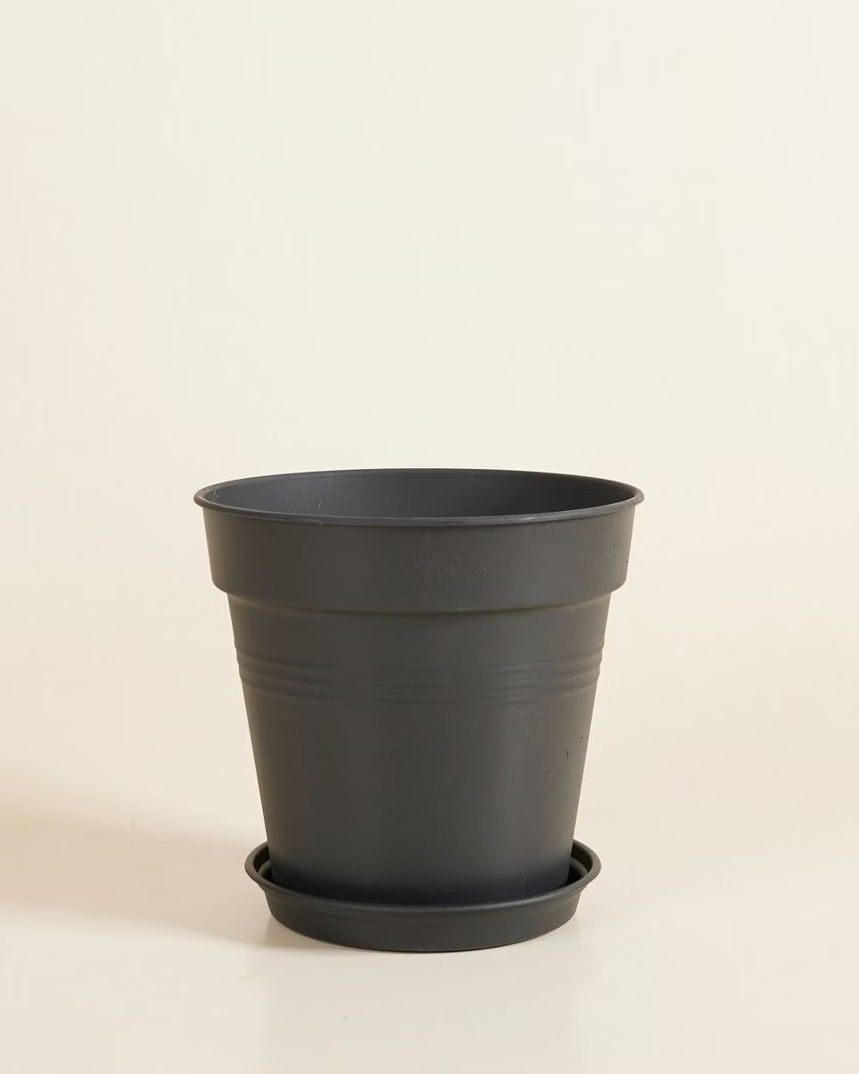 Elho Hagrid Grow Pot (17 cm)