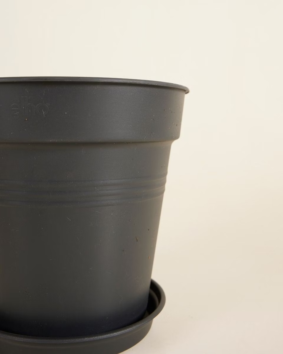 Elho Hagrid Grow Pot (17 cm)