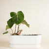 Elho Miles Oval Pot White