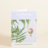 Hot Air Balloon
