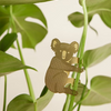 Kasper Koala