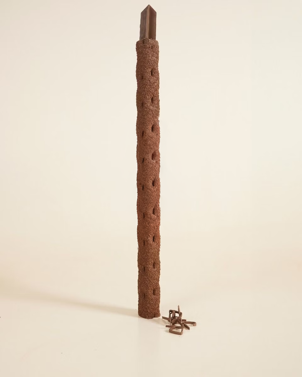 عمود تسلق قابل للتحلل الحيوي