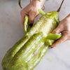 Luffa Sponge - supplier photo