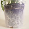 Nursery Planter Transparent (18 cm)