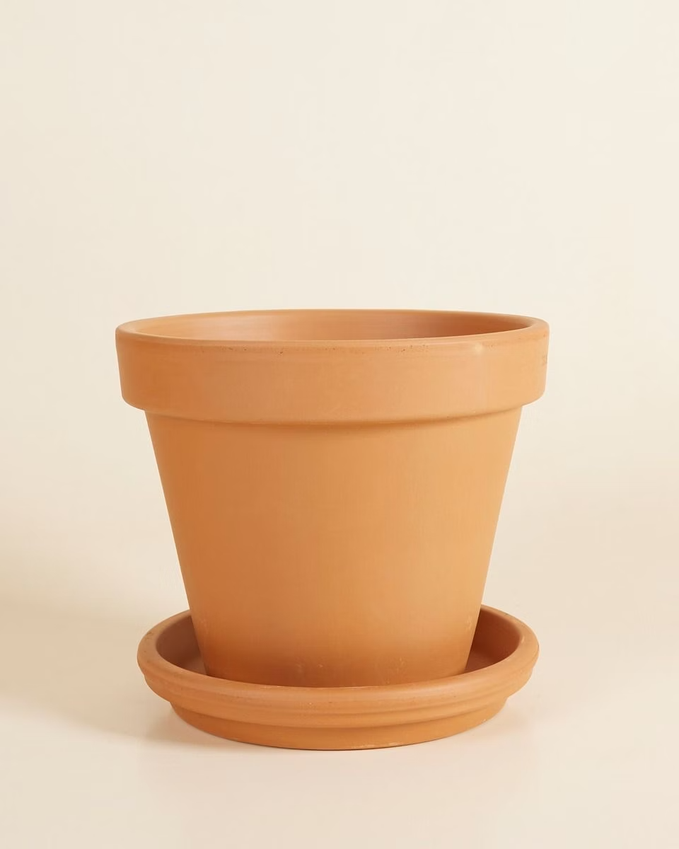 Terracotta Plant Pot with Dish (20 cm)