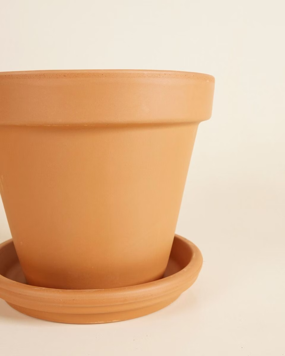 Terracotta Plant Pot with Dish (20 cm)