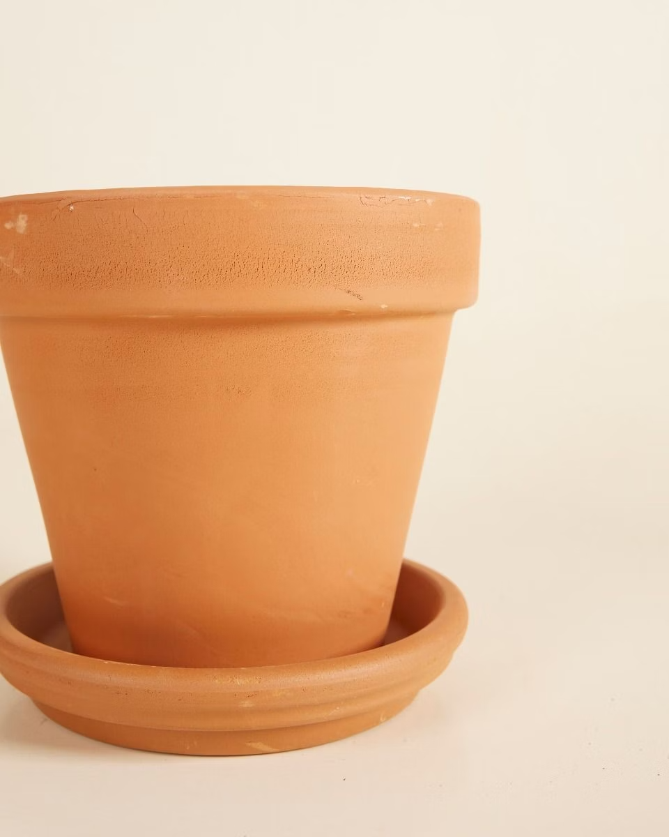 Terracotta Plant Pot with Dish (14 cm)