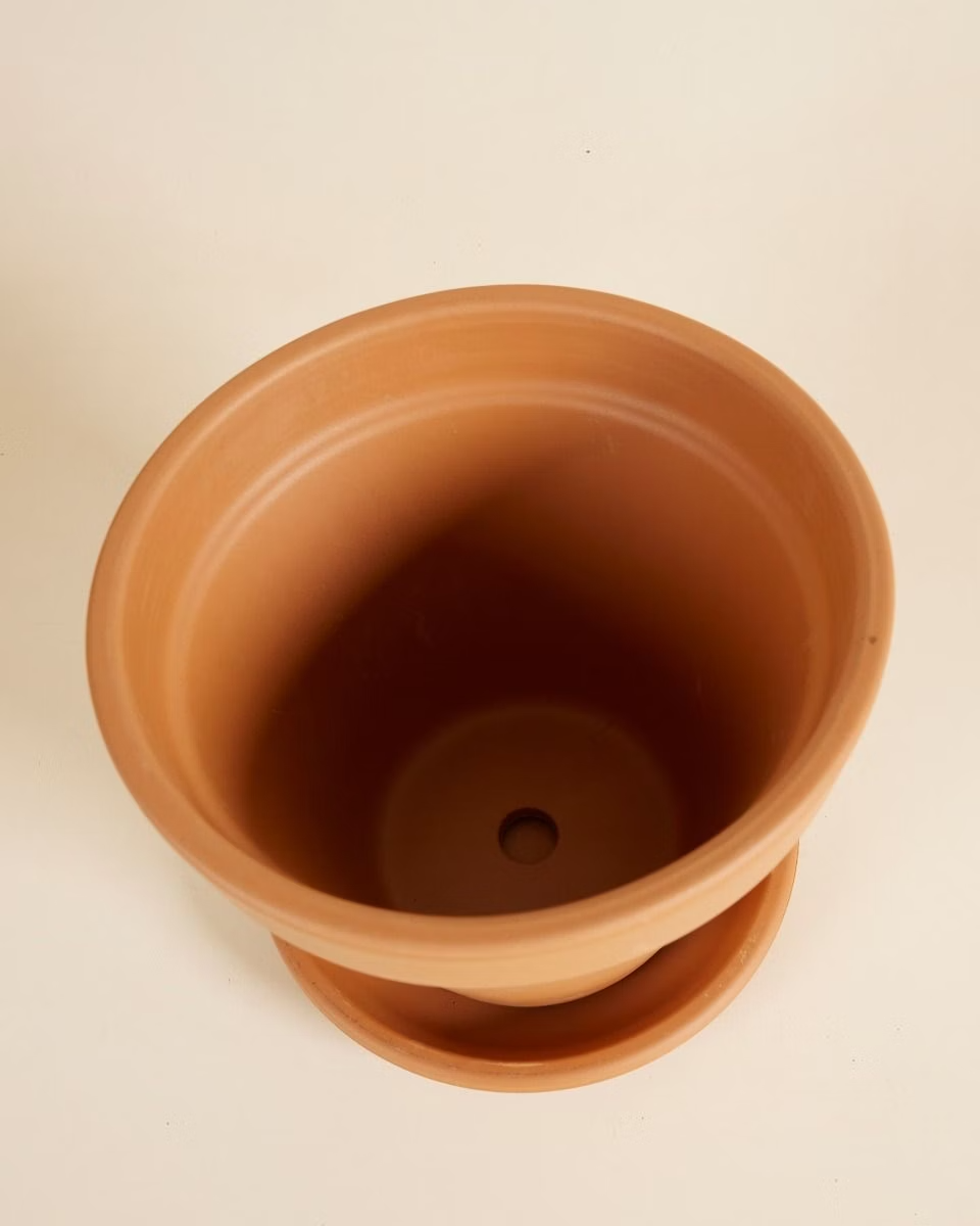 Terracotta Plant Pot with Dish (20 cm)