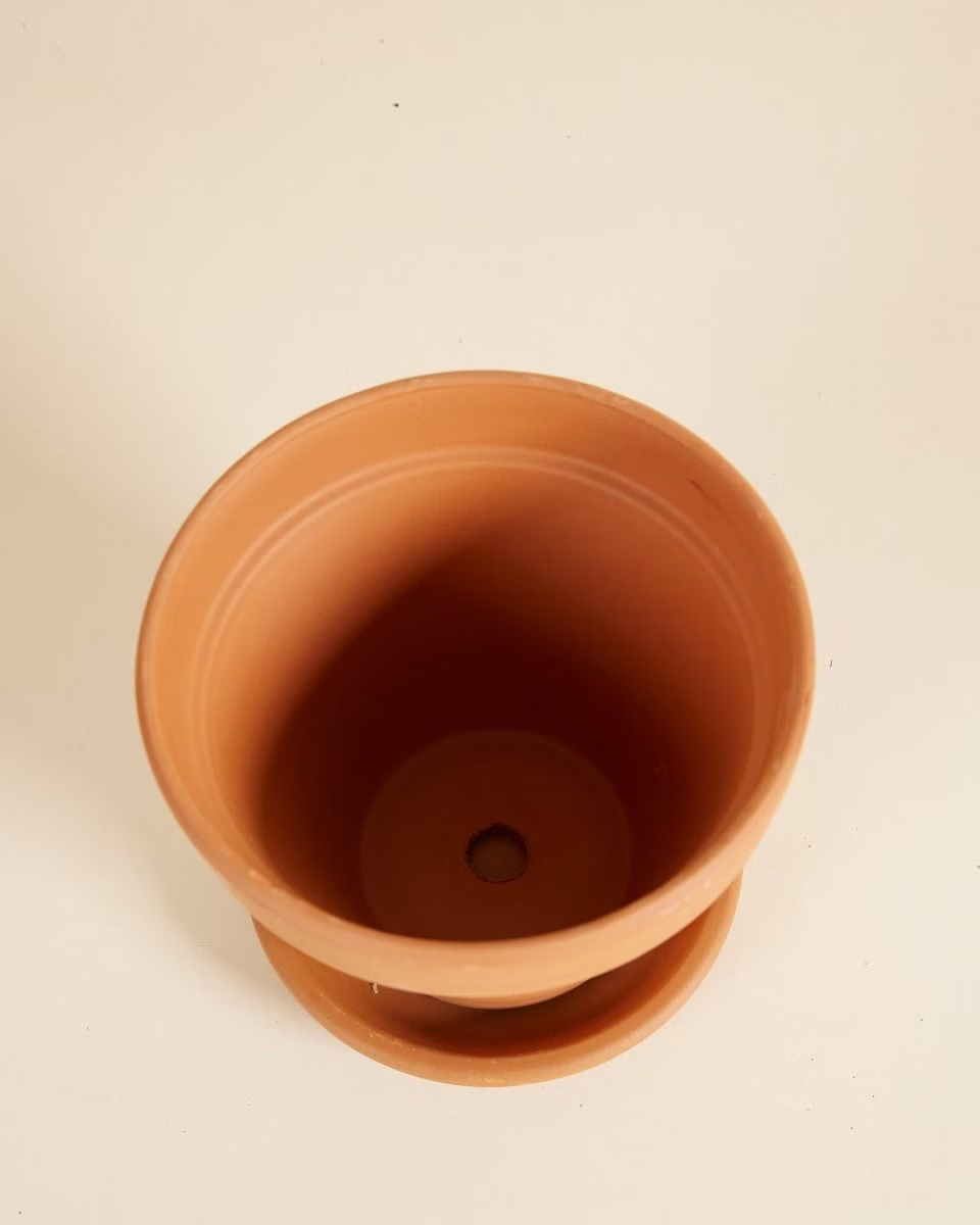 Terracotta Plant Pot with Dish (14 cm)