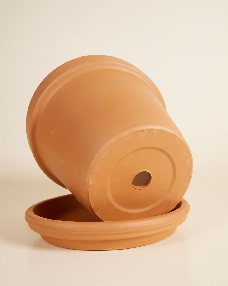 Terracotta Plant Pot with Dish (20 cm)