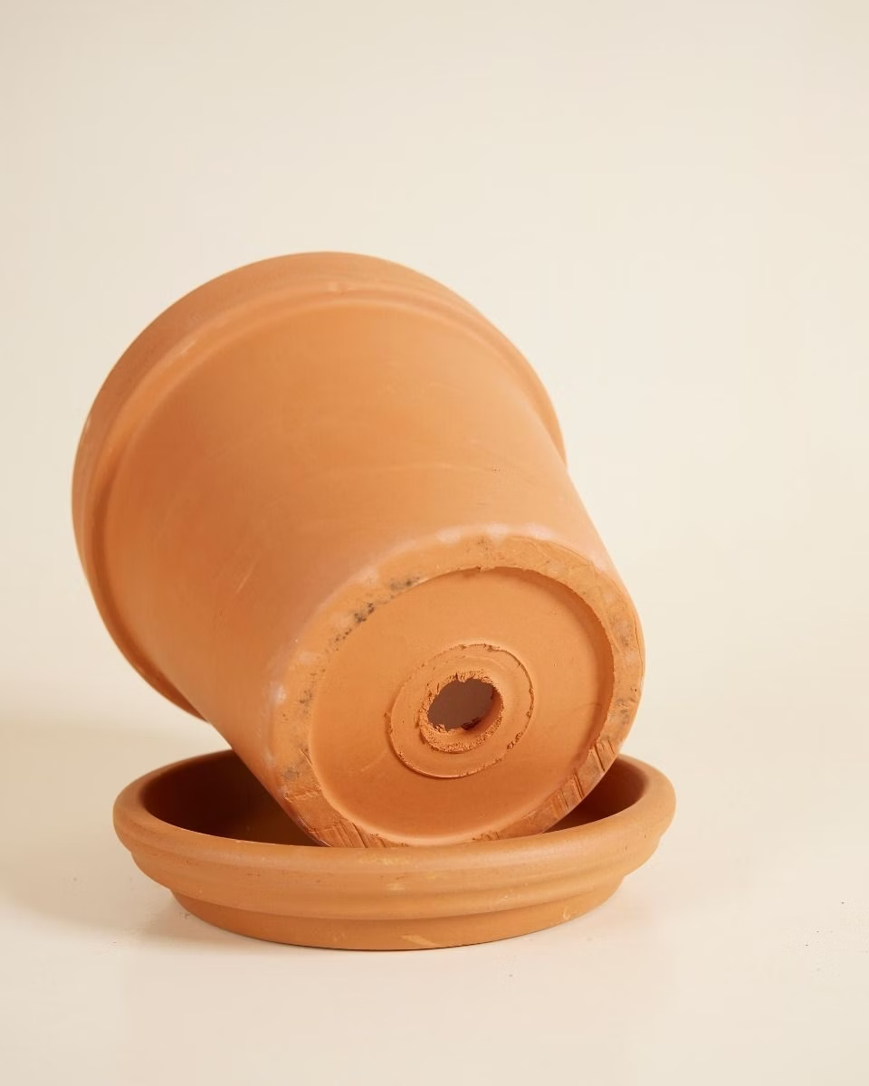 Terracotta Plant Pot with Dish (14 cm)