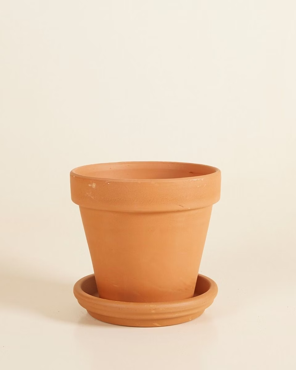 Terracotta Plant Pot with Dish (14 cm)