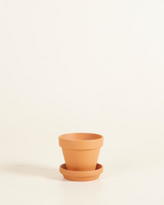 Baby Terracotta Plant Pot with Dish
