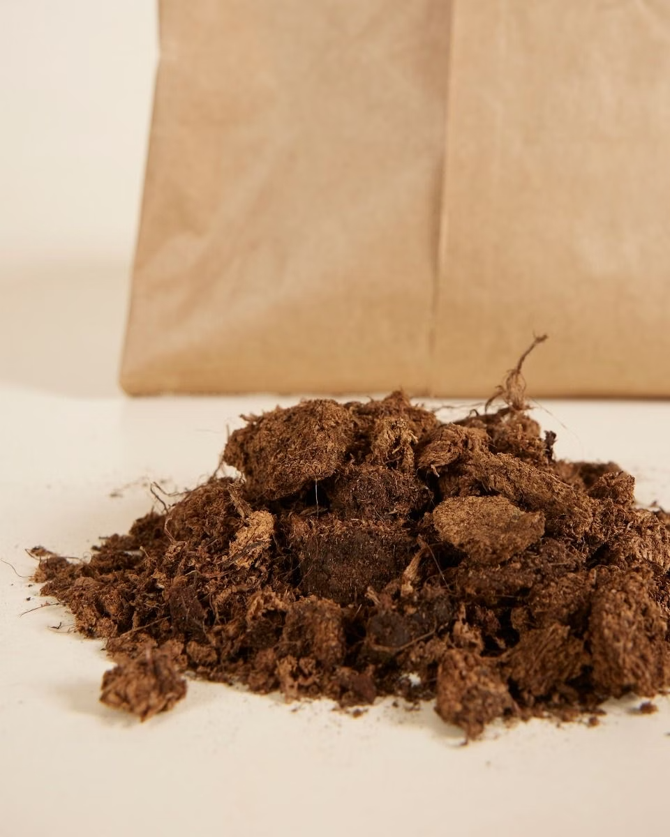 Peat chunks - NABAT تربة بيتموس