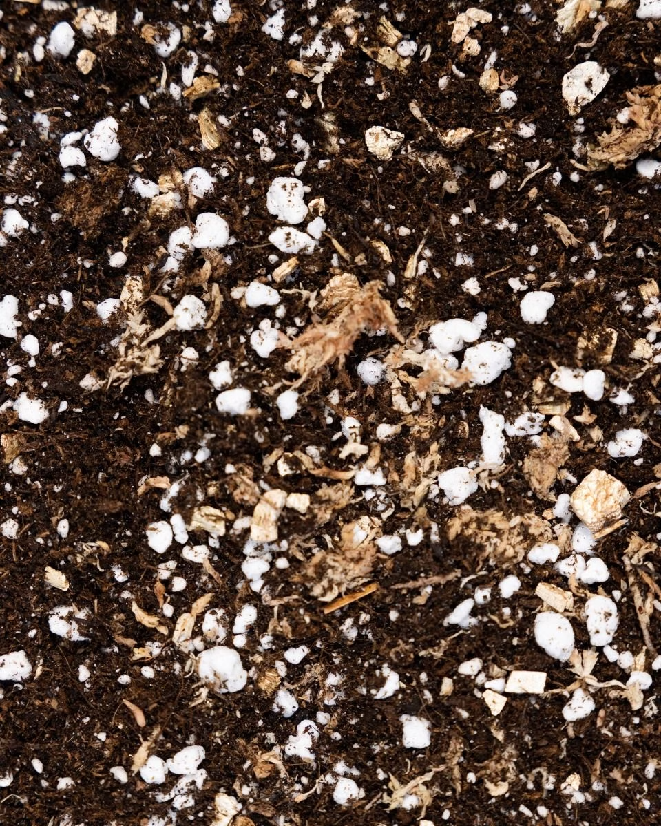 NABAT Propagation Substrates Set مجموعة تجذير النبات