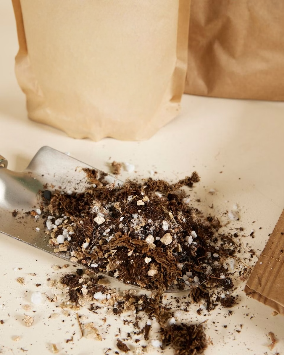 NABAT Propagation Substrates Set مجموعة تجذير النبات