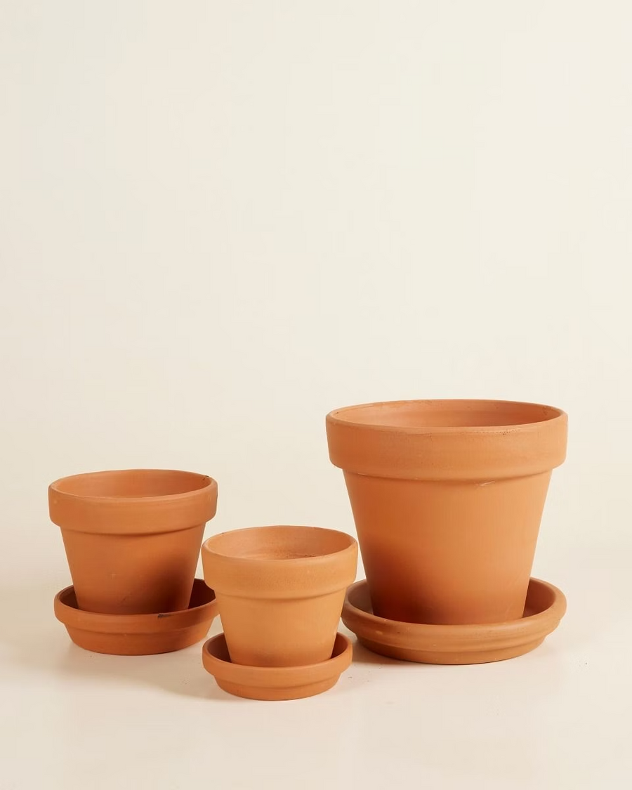 Repotting Set