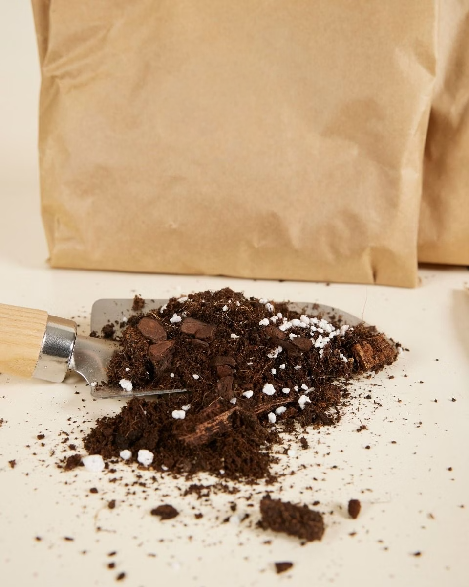 NABAT Repotting mix kit (3 liters) تربة نباتات داخلية